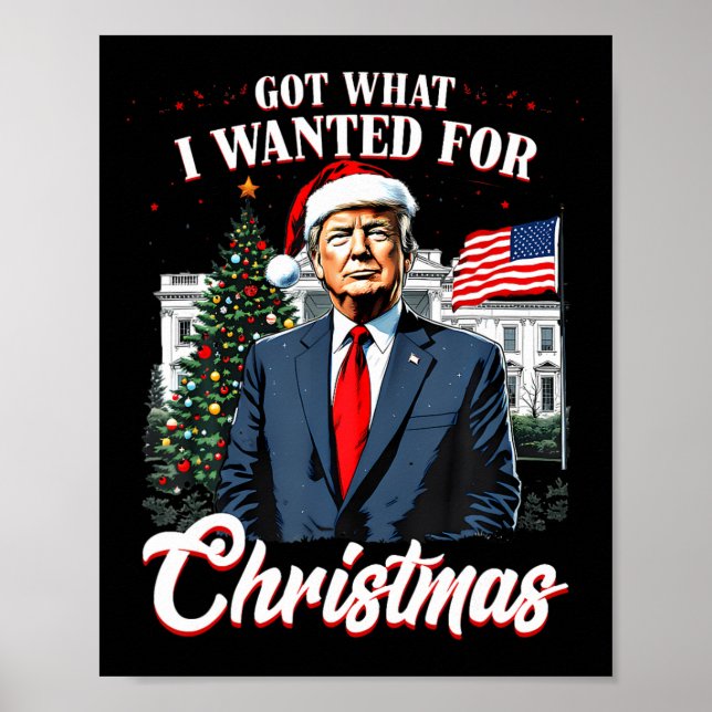 Poster Consegui O Que Eu Queria No Natal Trump  (Frente)