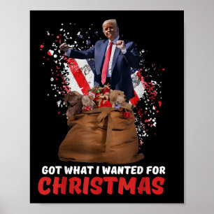Poster Consegui O Que Queria Para O Natal - Trump Ganhou
