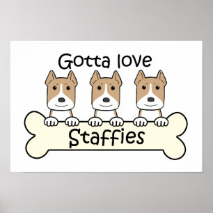Pôster Conseguiu amar Staffies