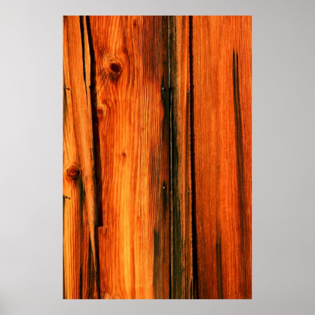 Poster conselho de celeiro (Frente)