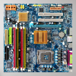 Poster Conselho de Circuito