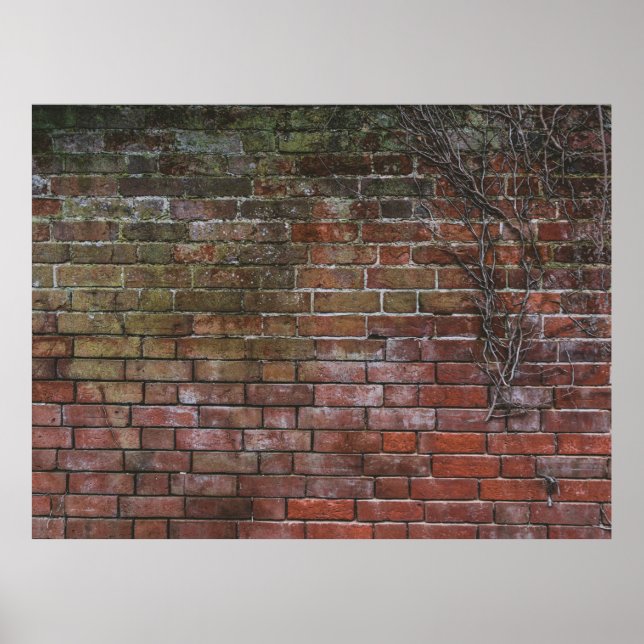 Poster Conselho de madeira castanha e preta (Frente)