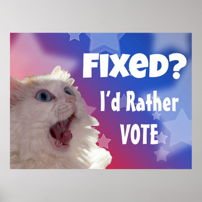 Poster Consertado? Eu Preferiria Votar  (Frente)