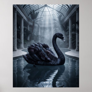 Poster Conservatório do Cisne de Veludo