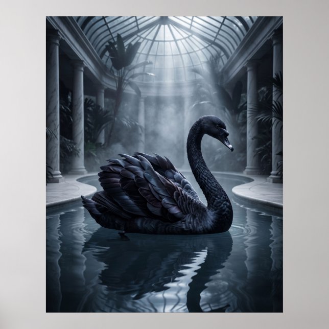 Poster Conservatório do Cisne de Veludo (Frente)