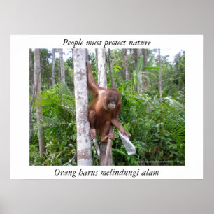 Pôster Conserve animais selvagens da natureza