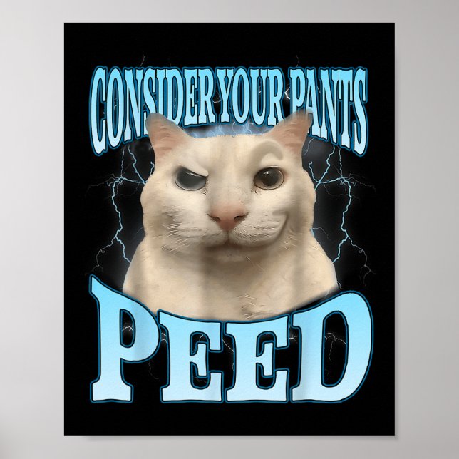 Poster Consider Your Pants Peed Funny Freak Cat Meme Humo (Frente)