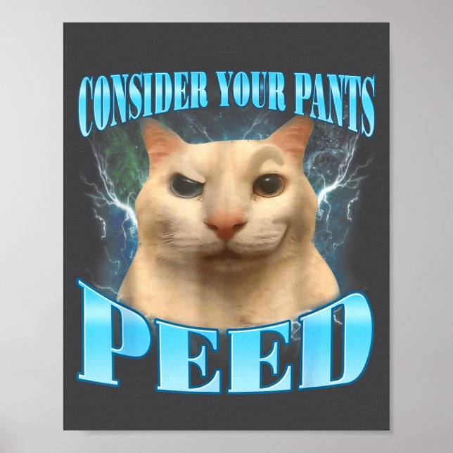 Poster Consider Your Pants Peed Funny Freak Cat Meme Humo (Frente)