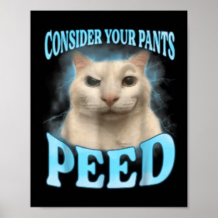 Poster Considere Seu Calça Enxudecer Engraçado Memória de