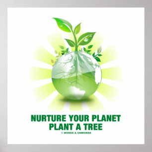 Poster Consolide sua planta do planeta uma árvore (a