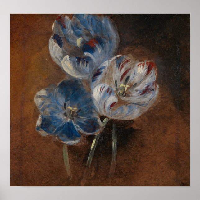 Poster Constable - Estudo de Três Tulipas Papagaio 1832 (Frente)