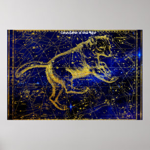 Poster Constelação da Ursa Maior