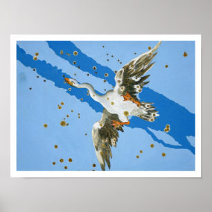 Pôster Constelação de Cygnus, do writte de "Uranometria