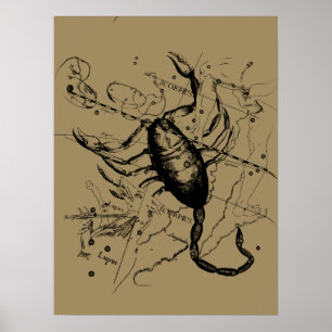 Pôster Constelação de Scorpio Hevelius cerca de 1690 Vi