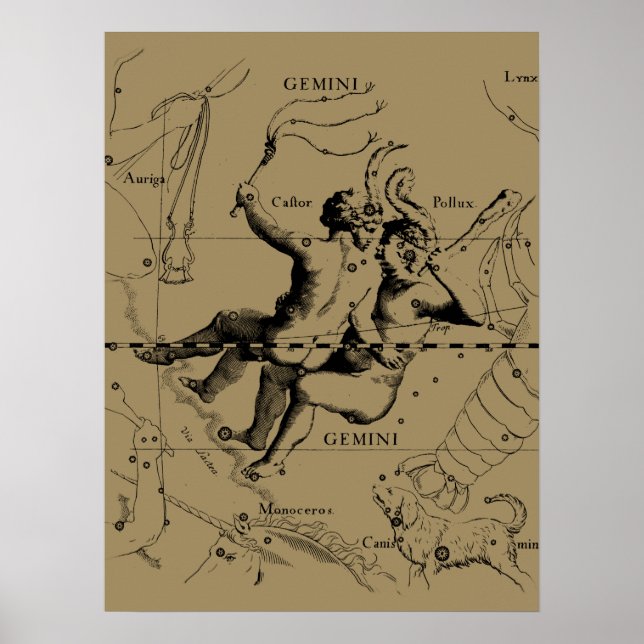 Poster Constelação Gemini Zodiac Hevelius 1690 (Frente)