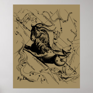 Pôster Constelação Hevelius 1690 do Capricórnio no Tau