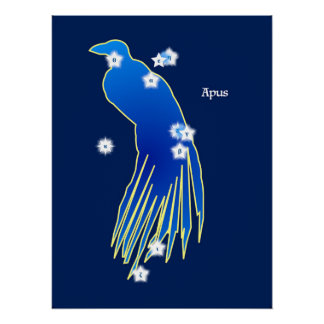 Pôster Constellation du Paradisier