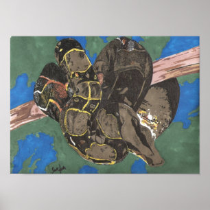 Pôster Constrictor de boa