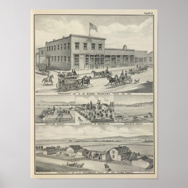 Pôster Construção de floresta, fazenda do Condado de Yolo (Frente)