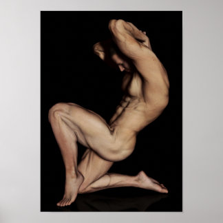 Pôster Construção naval