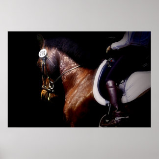 Poster Construído para Último