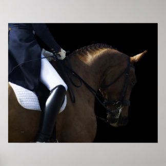 Pôster Construído para Último 2