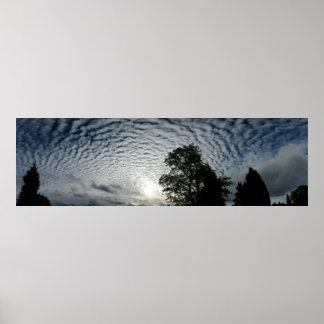 Pôster Contagem de ovinos