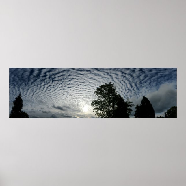 Pôster Contagem de ovinos (Frente)