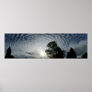 Pôster Contando carneiros