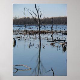 Pôster Contemplação da infecção