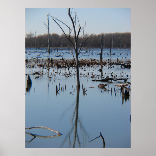 Pôster Contemplação da infecção (Frente)