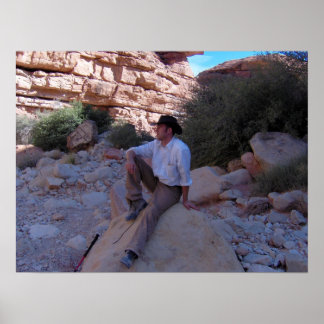 Pôster Contemplation