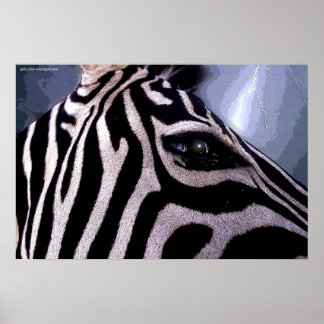 Pôster Continente Escuro por Gregory Gallo