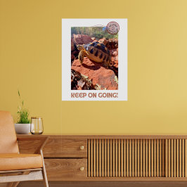 Poster Continua a insinuar a tartaruga de codimulação ins