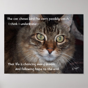 Poster Continuar Perseguindo Sonhos