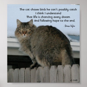 Poster Continuar Perseguindo Sonhos