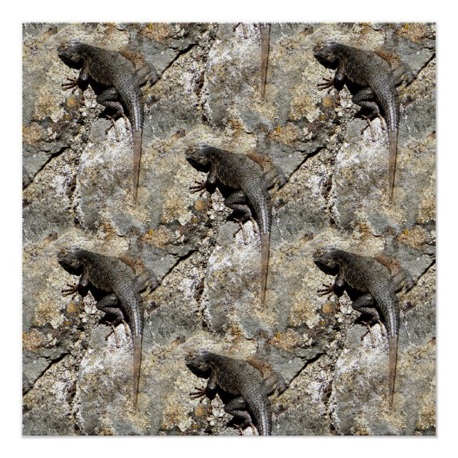 Pôster Continue subindo.... (Frente)