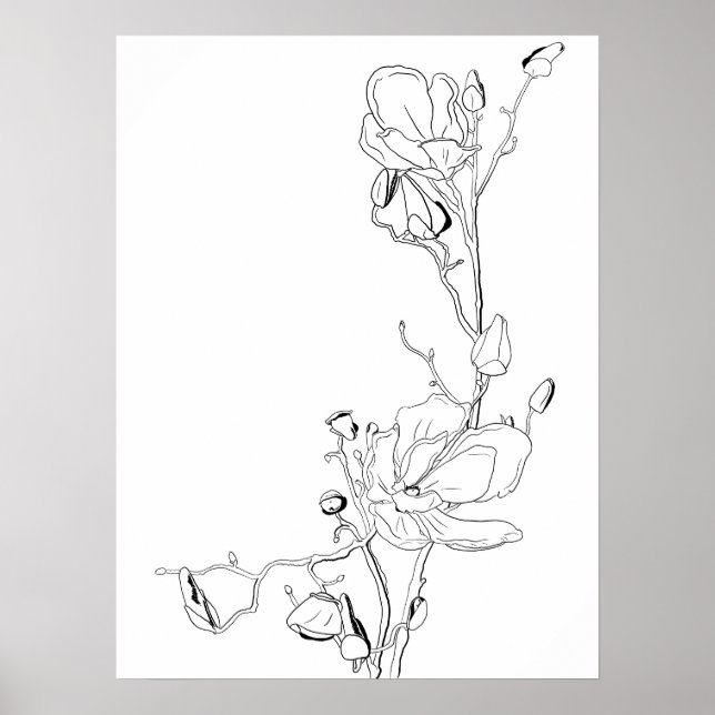 Poster Contorno da Magnolia (Frente)