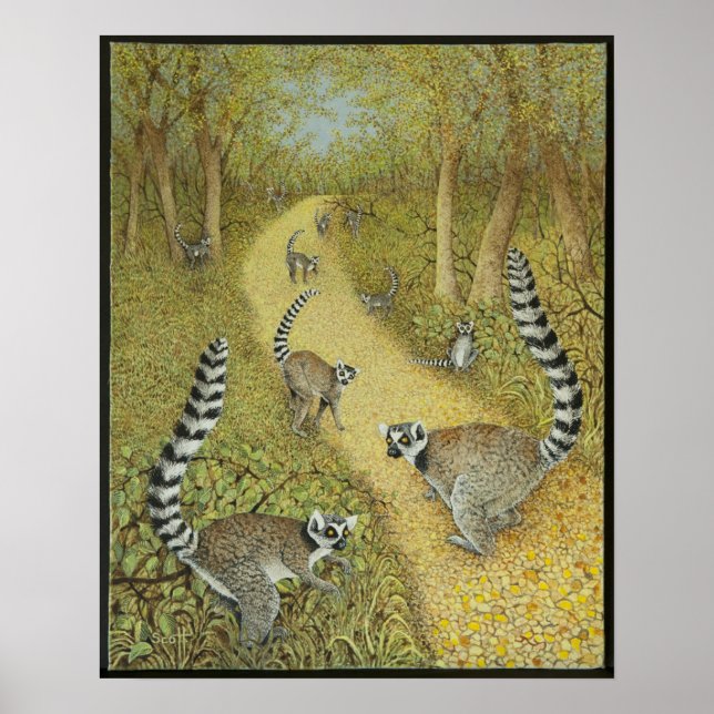 Poster Contos de contar (Frente)