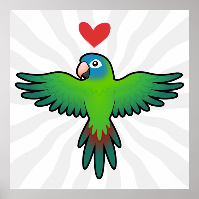 Pôster Conura / Lorikeet / Amor de Papagaio (Frente)