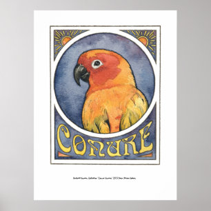 Pôster Conure Nouveau