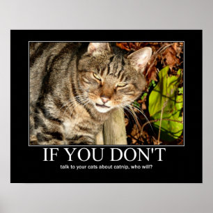 Pôster Conversa sobre trabalhos de arte do Catnip
