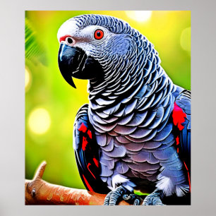 Poster Conversando com a Cinza africana Papagaio