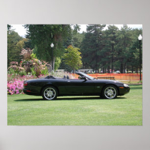 Pôster Convertible de Jaguar XK8