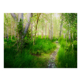 Pôster Convict Lake Aspen Meadow Wall Art Nature Print