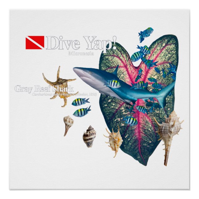 Pôster Convite tropical (Frente)