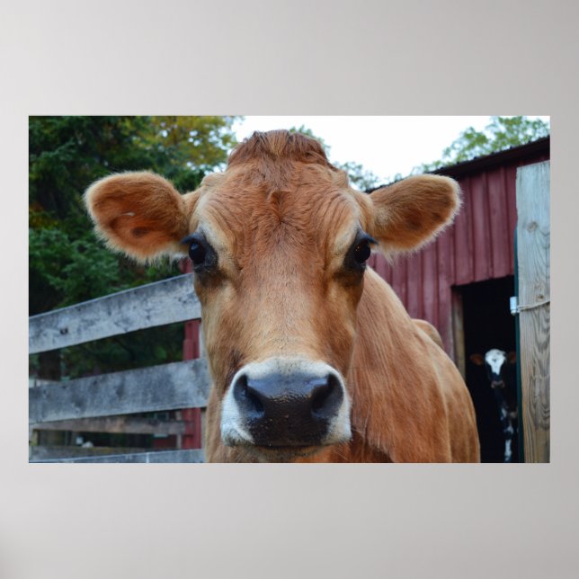 Poster Cookie Cow (Frente)