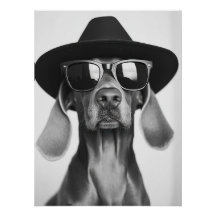 Cool Dog Portrait - Weimaraner in Hat and Sunglass