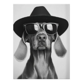 Pôster Cool Dog Portrait - Weimaraner in Hat and Sunglass