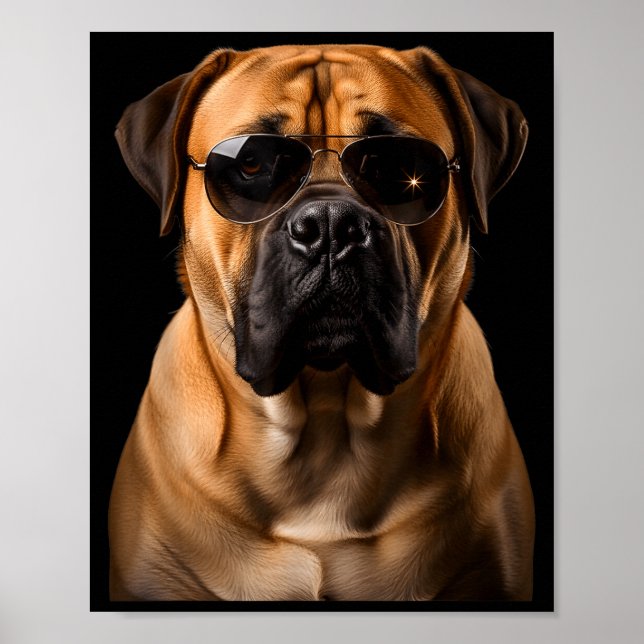 Poster Cool Dog Sungles Bullmastiff Funny Look  (Frente)